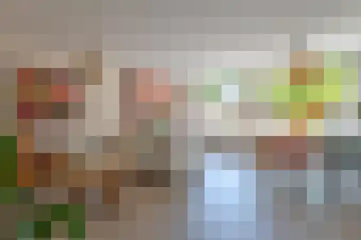 Vijverstraat 4 Hattem thumbnail 6