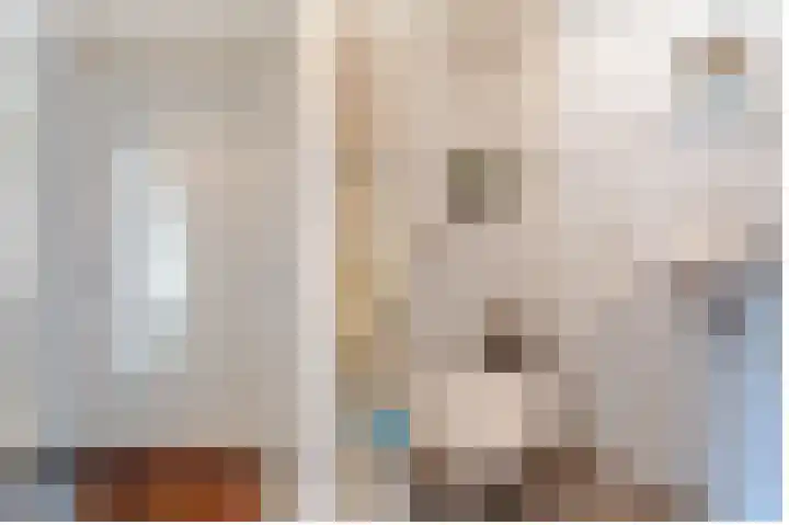 Vijverstraat 42 Nieuwendijk thumbnail 12