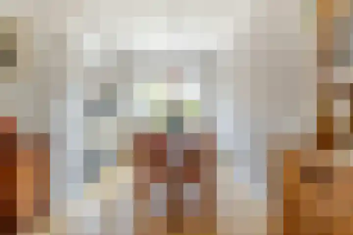 Vijverstraat 42 Nieuwendijk thumbnail 16
