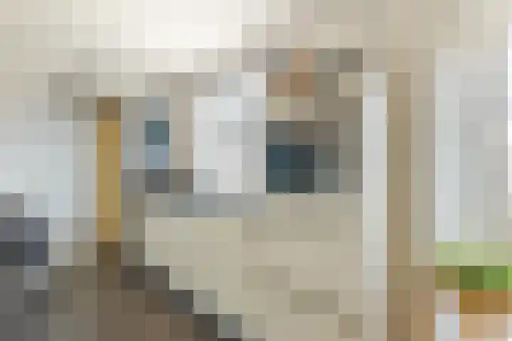 Vijverstraat 42 Nieuwendijk thumbnail 20