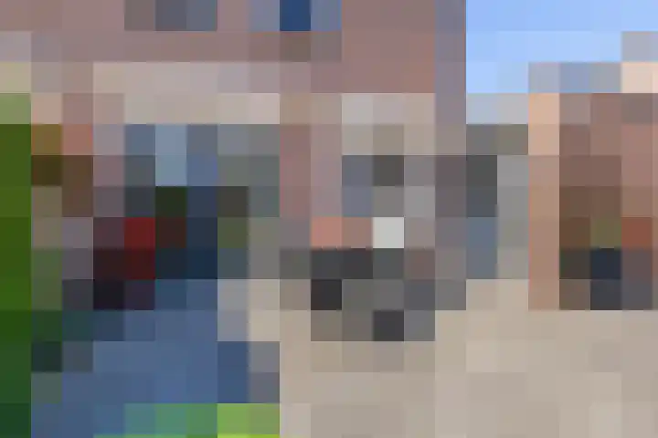 Vijverstraat 42 Nieuwendijk thumbnail 39