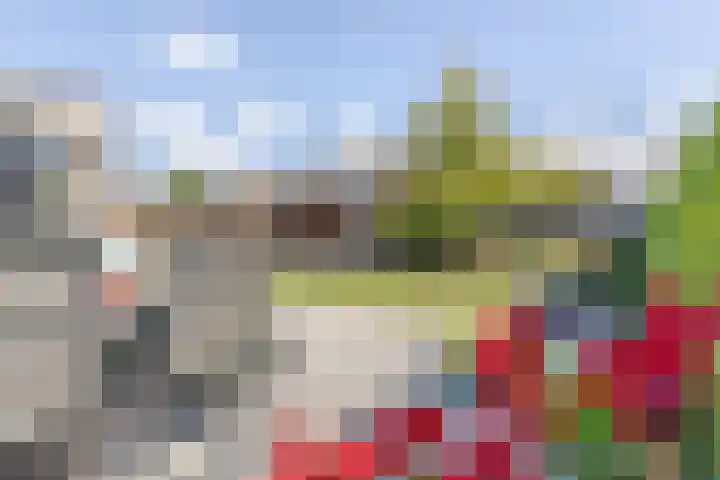Vijverstraat 42 Nieuwendijk thumbnail 40