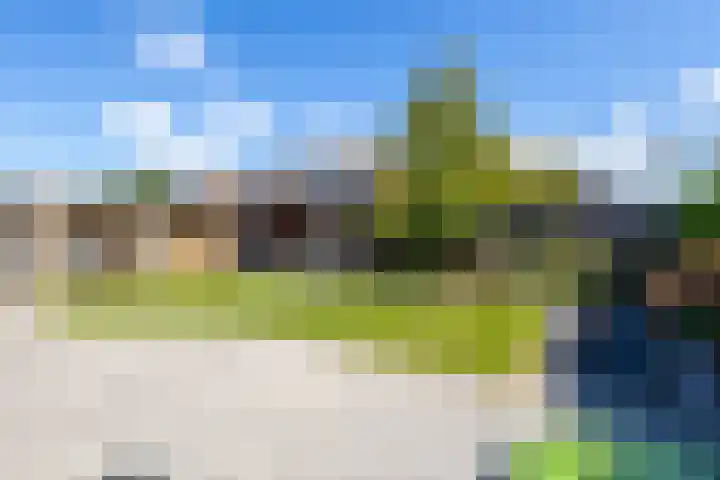 Vijverstraat 42 Nieuwendijk thumbnail 41