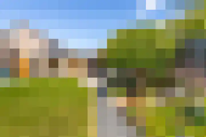 Vijverstraat 42 Nieuwendijk thumbnail 42