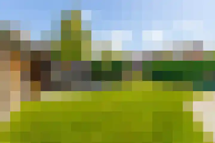 Vijverstraat 42 Nieuwendijk thumbnail 44