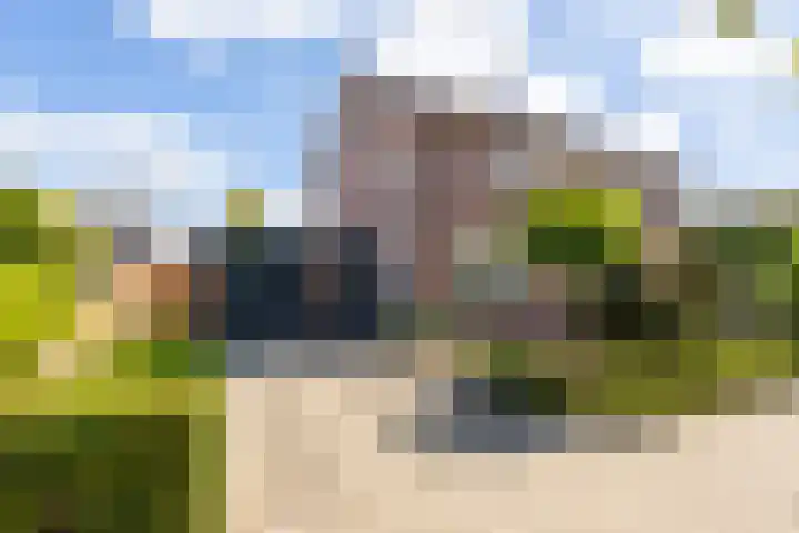 Vijverstraat 42 Nieuwendijk thumbnail 5