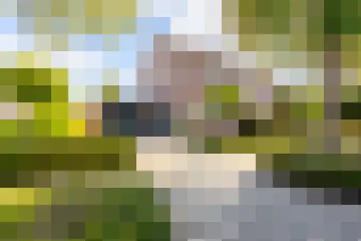 Vijverstraat 42 Nieuwendijk thumbnail 6