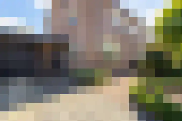 Vijverstraat 42 Nieuwendijk thumbnail 7