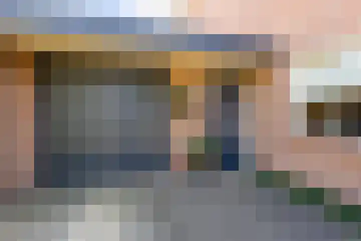 Vijverstraat 42 Nieuwendijk thumbnail 8