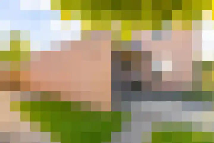 Vijverstraat 42 Nieuwendijk thumbnail 9