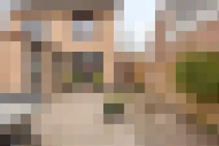 Vijverstraat 48 A St. Willebrord thumbnail 34