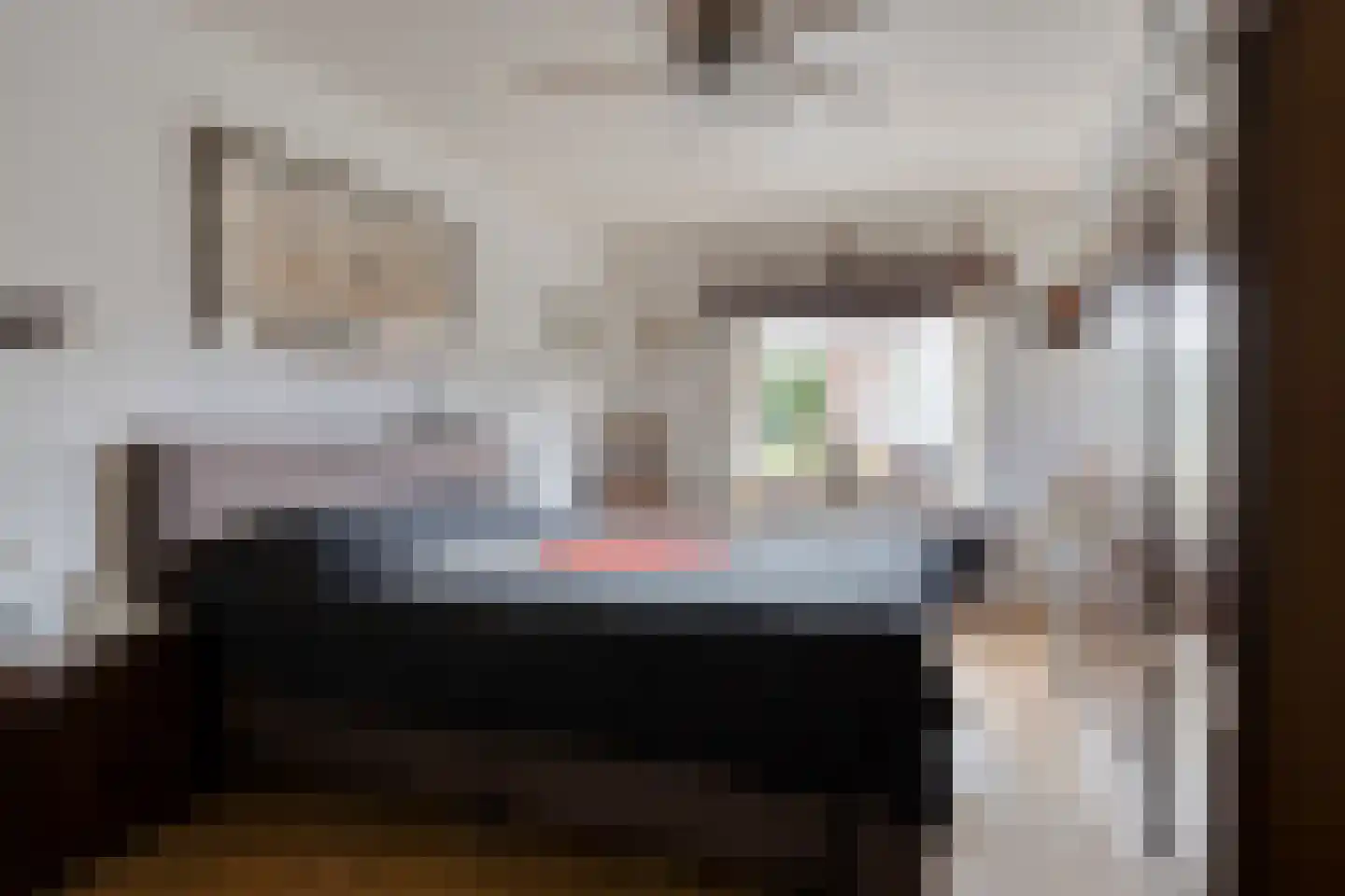 Vijverstraat 49 St. Willebrord thumbnail 11