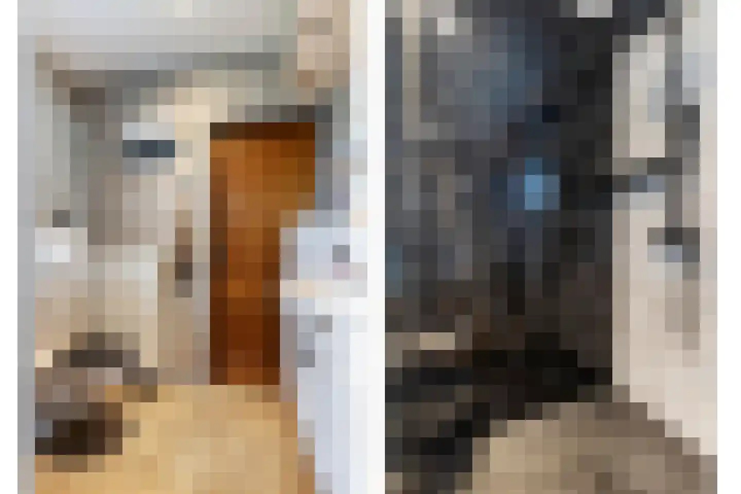 Vijverstraat 49 St. Willebrord thumbnail 14