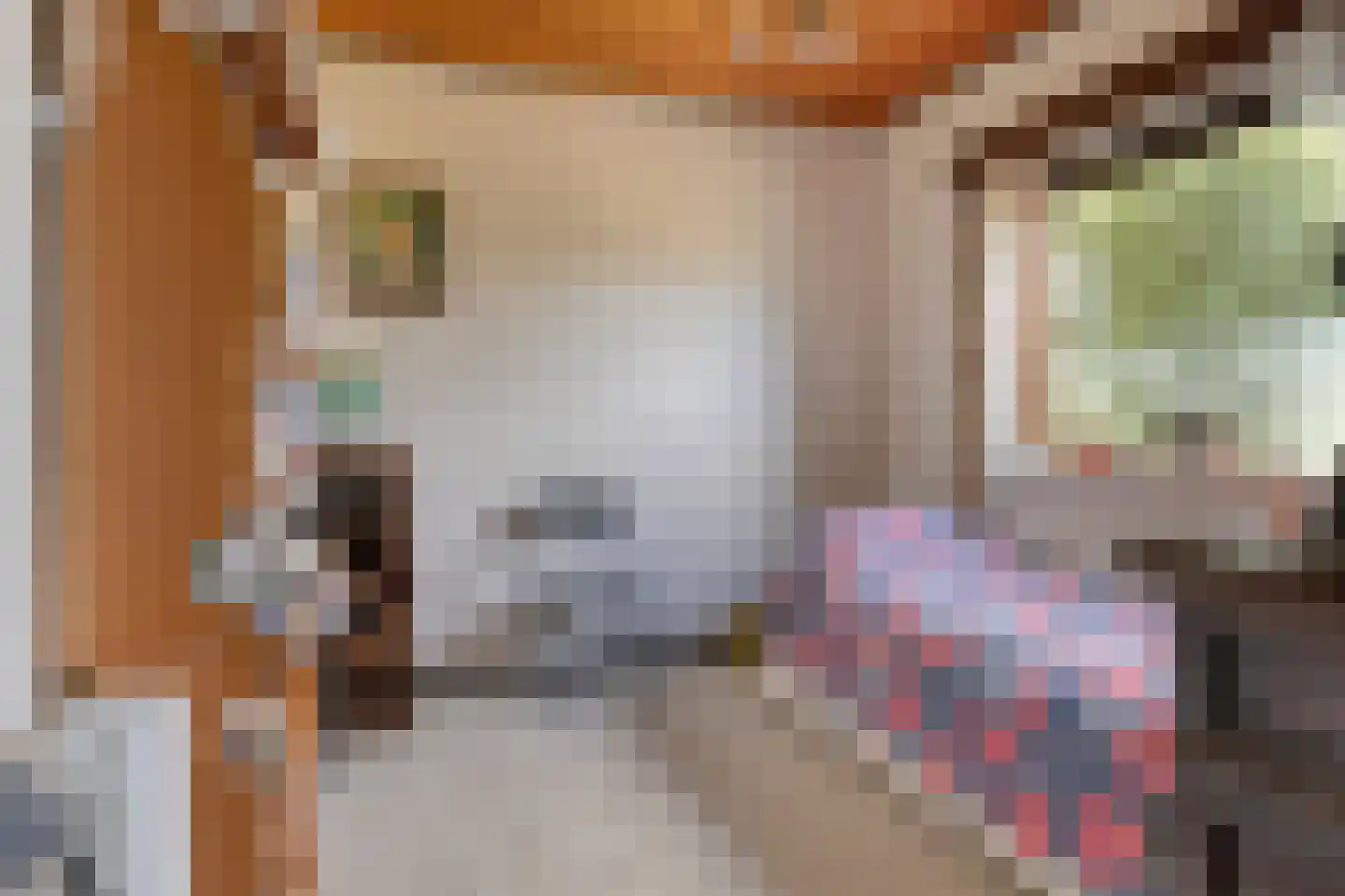 Vijverstraat 49 St. Willebrord thumbnail 15
