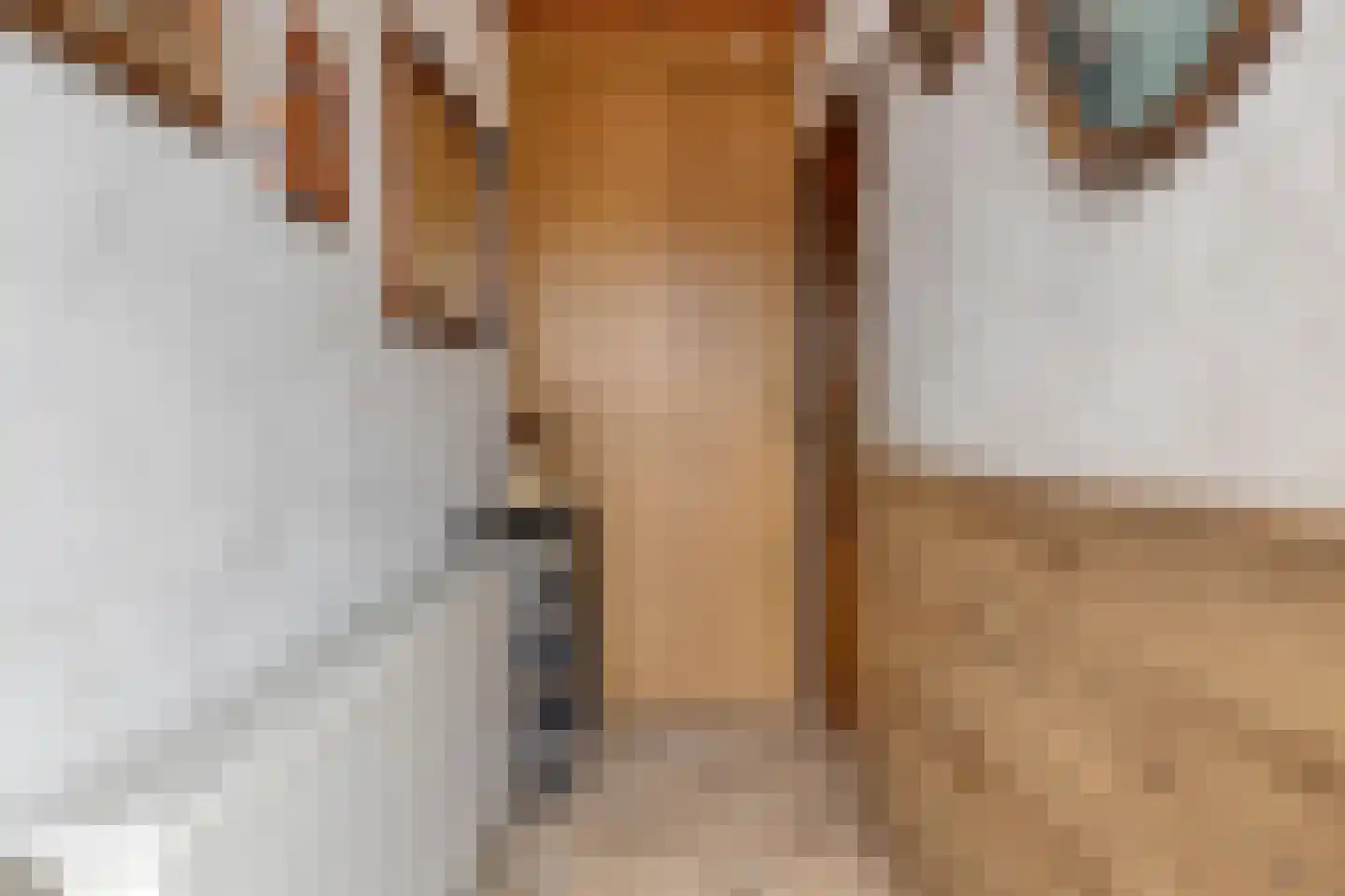 Vijverstraat 49 St. Willebrord thumbnail 16