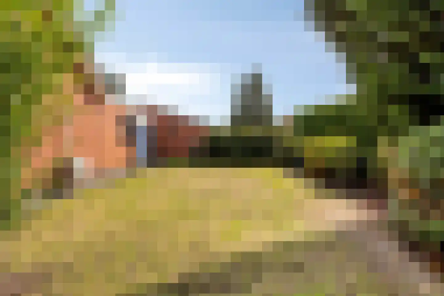 Vijverstraat 49 St. Willebrord thumbnail 26