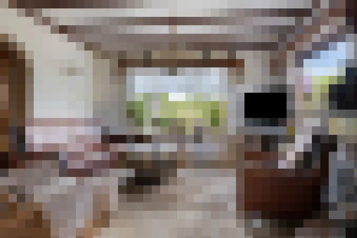 Vijverstraat 49 St. Willebrord thumbnail 5