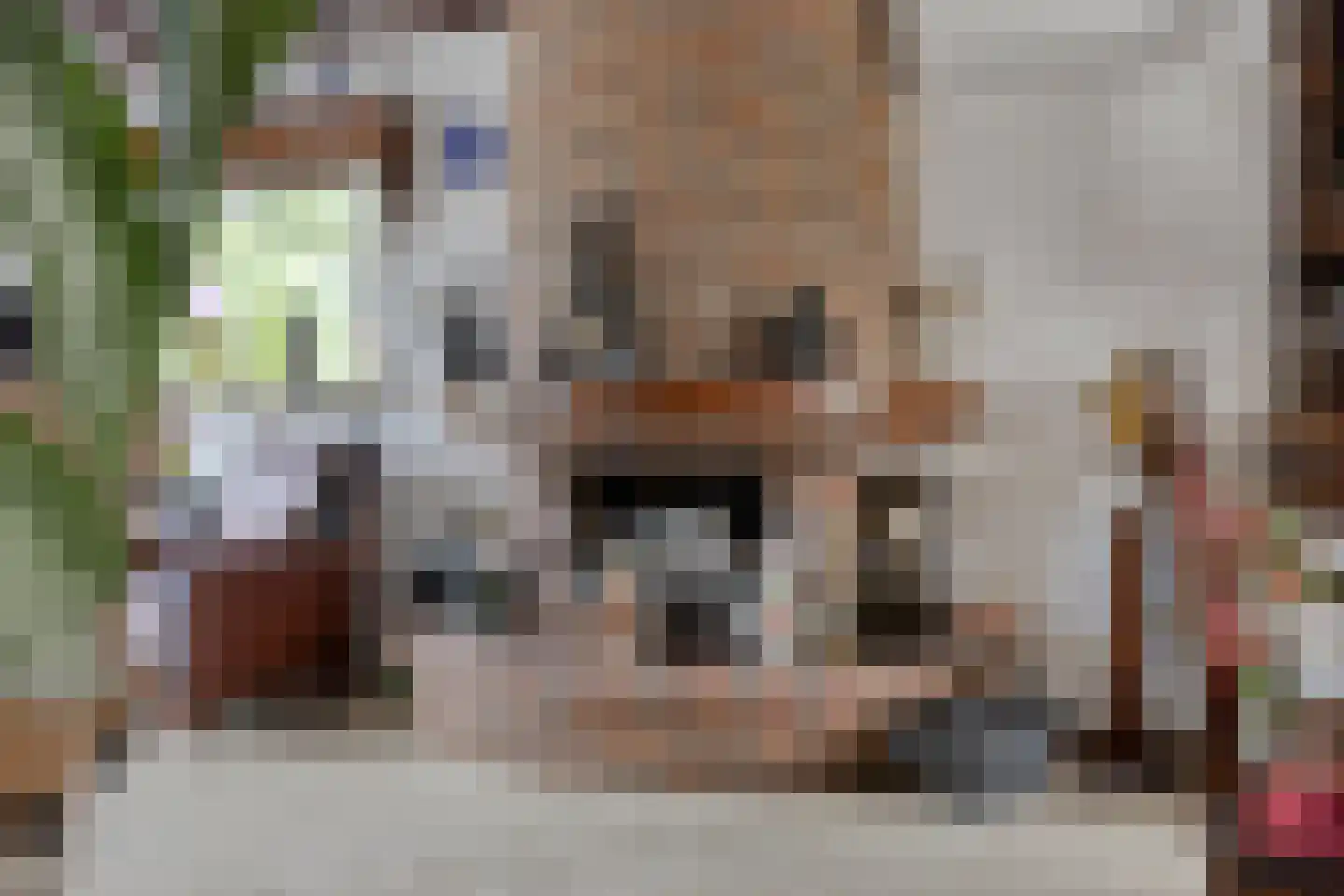 Vijverstraat 49 St. Willebrord thumbnail 7