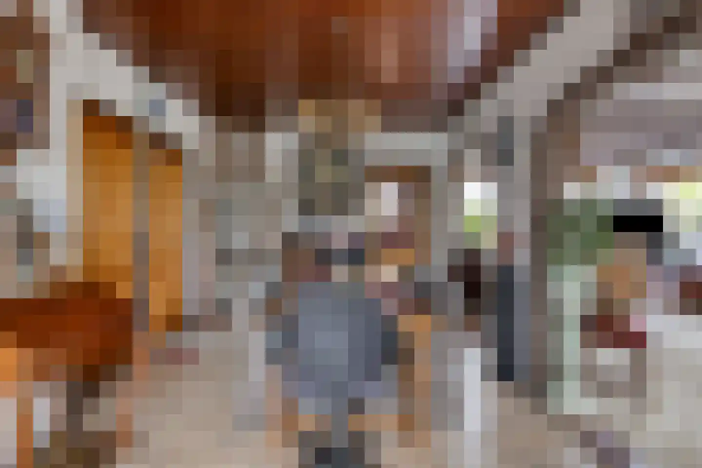 Vijverstraat 49 St. Willebrord thumbnail 9