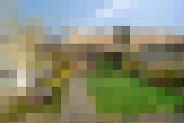 Vijverstraat 5 Abbenbroek thumbnail 28