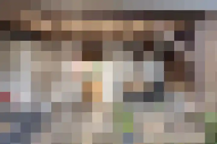 Vijverstraat 5 Abbenbroek thumbnail 29