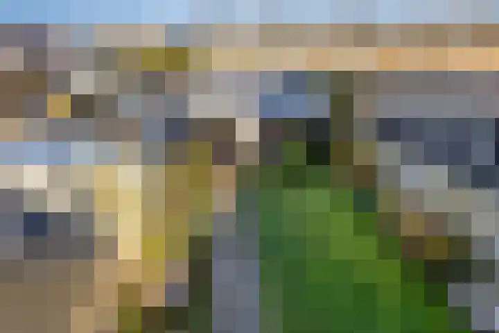 Vijverstraat 5 Abbenbroek thumbnail 32