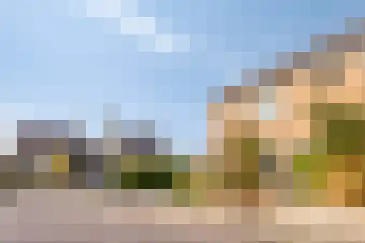 Vijverstraat 5 Abbenbroek thumbnail 35