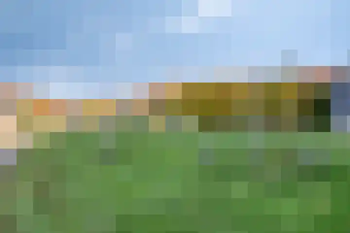 Vijverstraat 5 Abbenbroek thumbnail 37