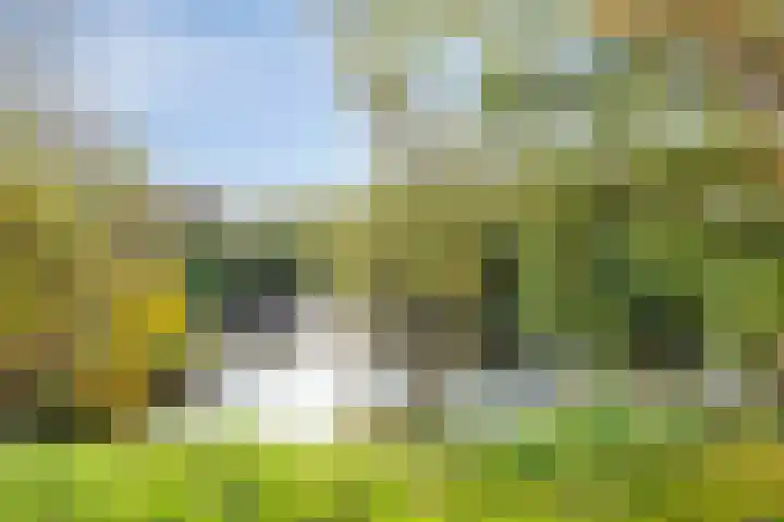 Vijverstraat 5 Abbenbroek thumbnail 39