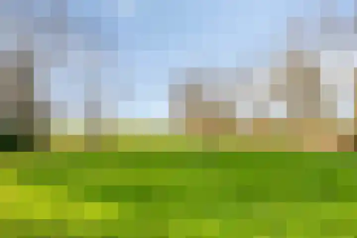 Vijverstraat 5 Abbenbroek thumbnail 40