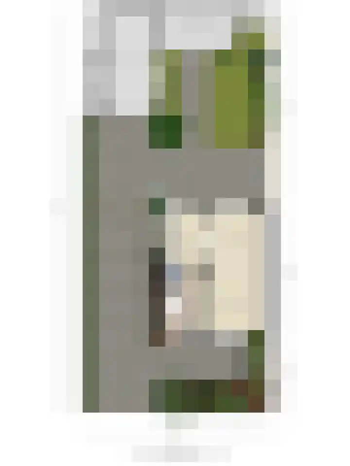 Vijverstraat 5 Abbenbroek thumbnail 42