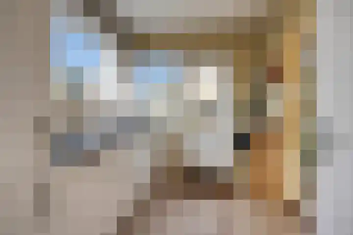 Vijverstraat 5 Abbenbroek thumbnail 8