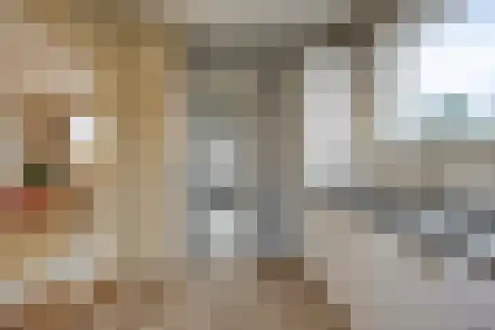 Vijverstraat 5 Abbenbroek thumbnail 9