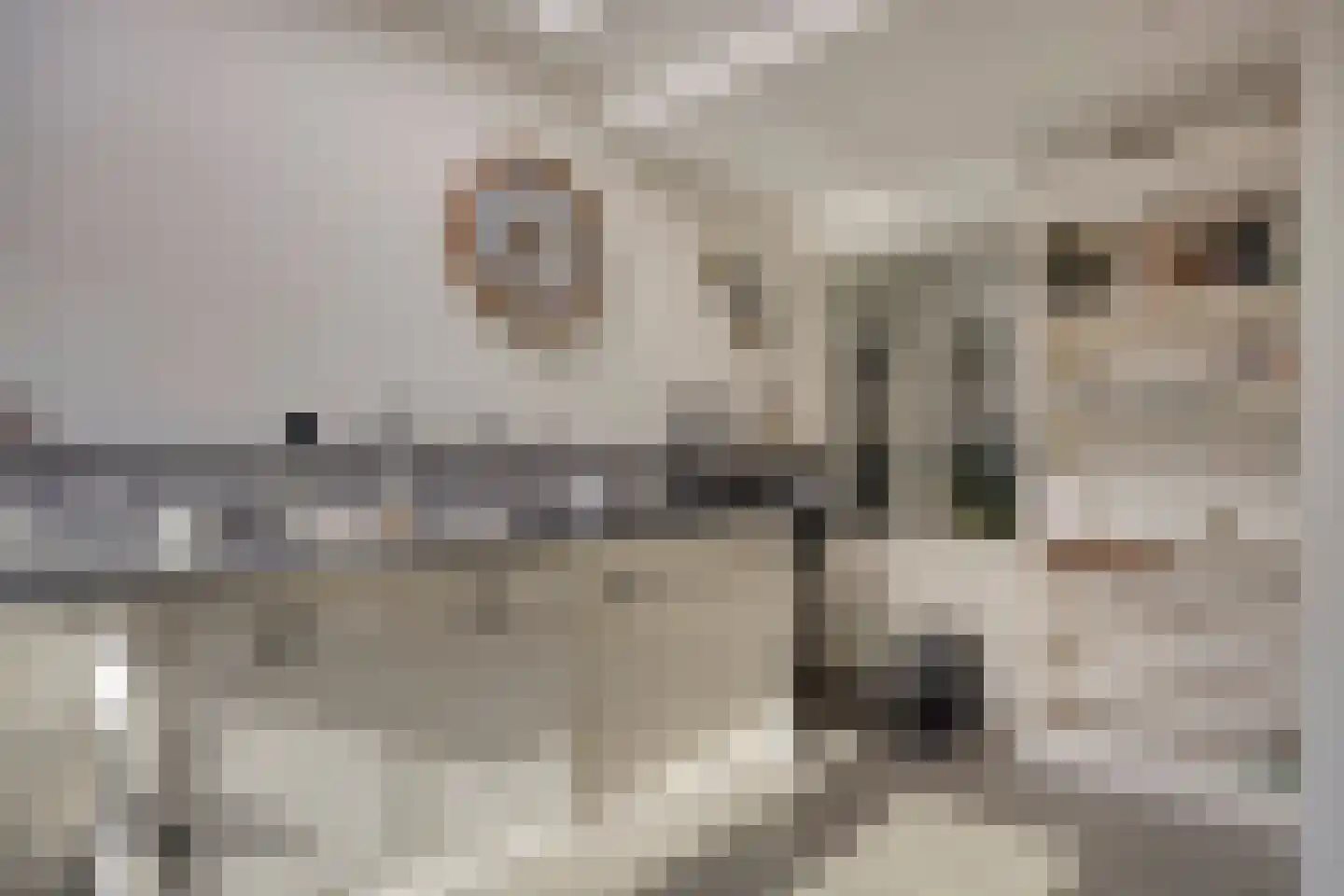Vijverstraat 50 St. Willebrord thumbnail 14