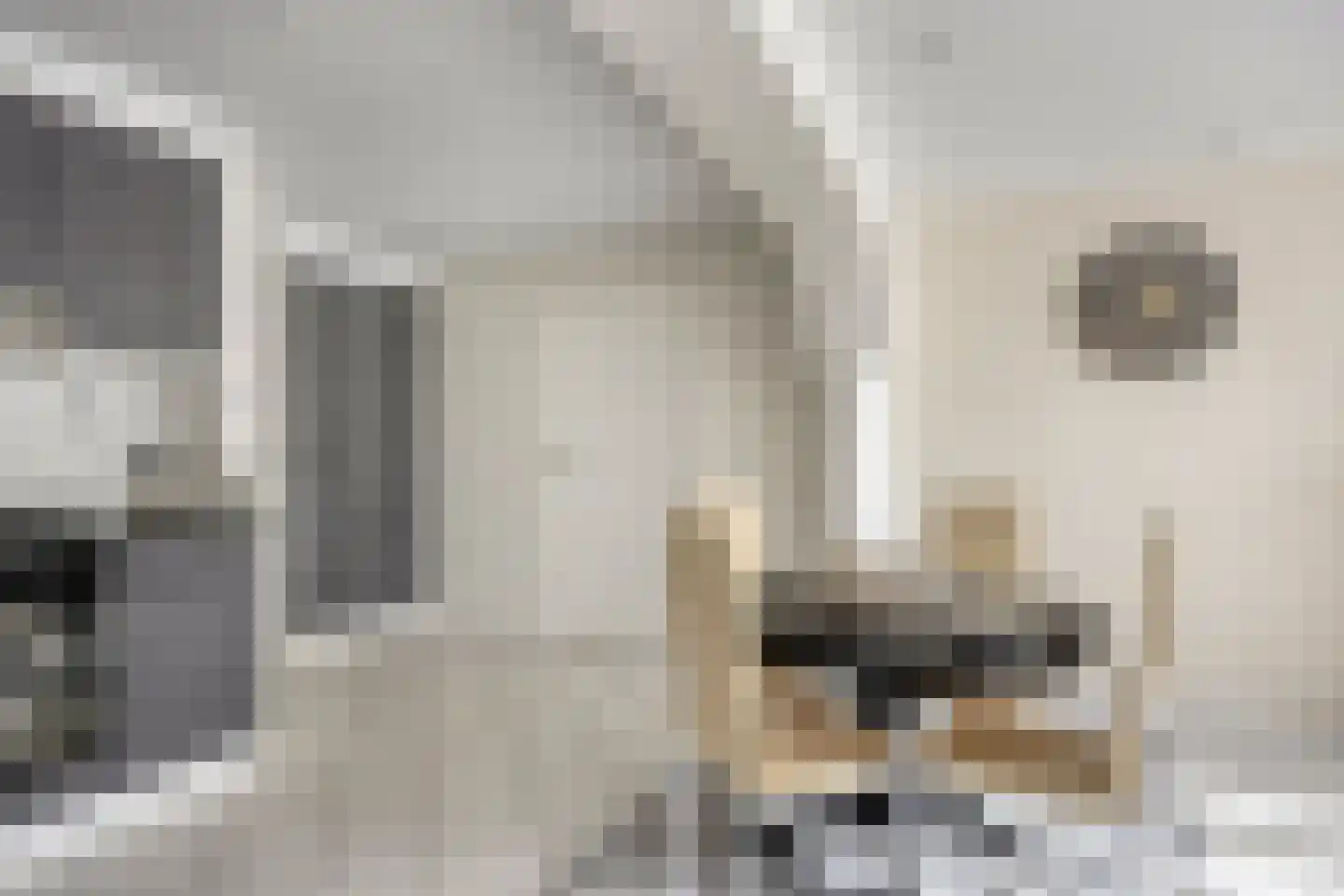 Vijverstraat 50 St. Willebrord thumbnail 25