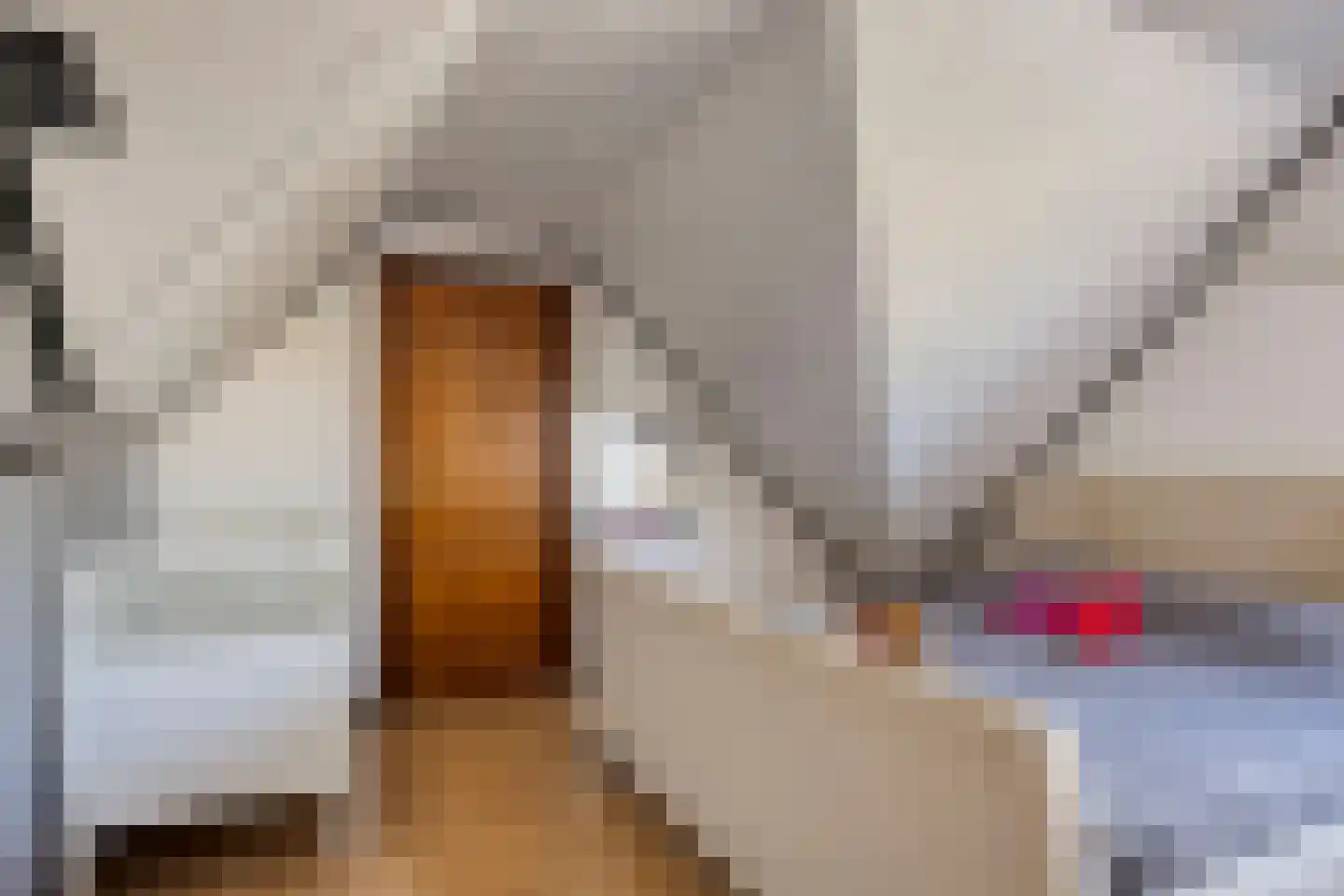 Vijverstraat 50 St. Willebrord thumbnail 37