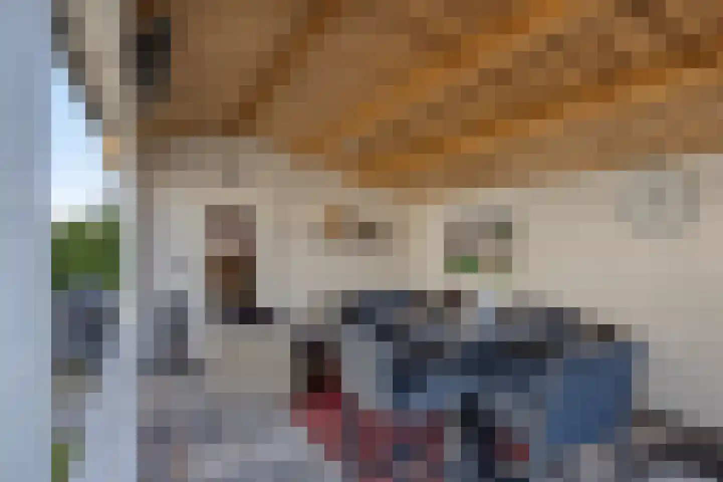 Vijverstraat 50 St. Willebrord thumbnail 46