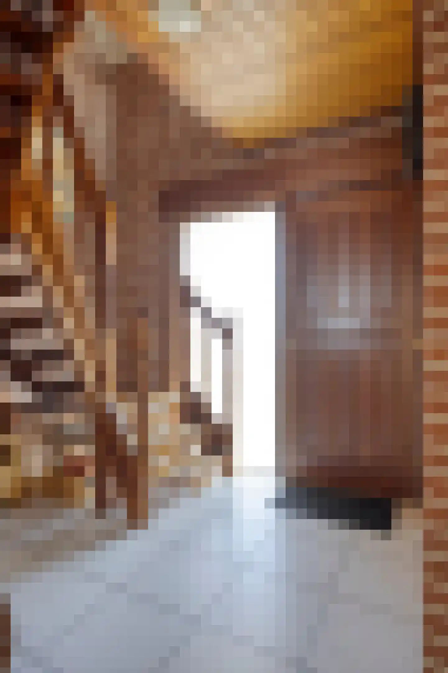 Vijverstraat 50 St. Willebrord thumbnail 6