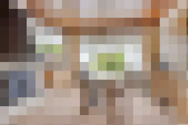 Vijverstraat 56 St. Willebrord thumbnail 12