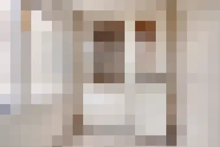 Vijverstraat 56 St. Willebrord thumbnail 16
