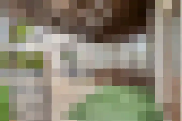 Vijverstraat 56 St. Willebrord thumbnail 36
