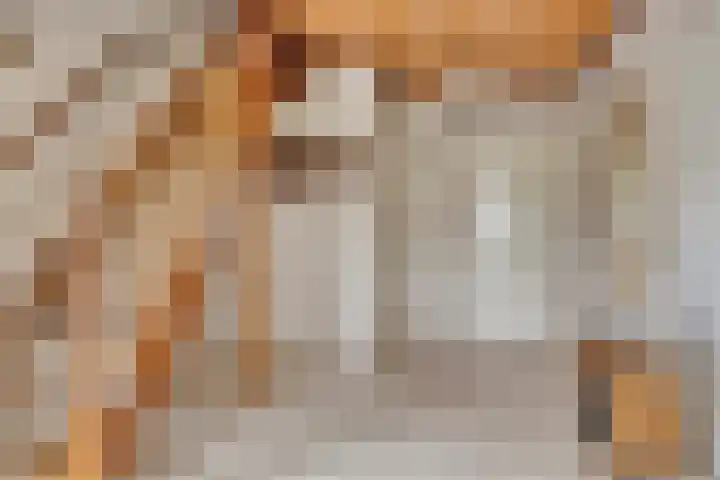 Vijverstraat 56 St. Willebrord thumbnail 7