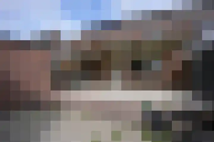 Vijverstraat 60 Brunssum thumbnail 33