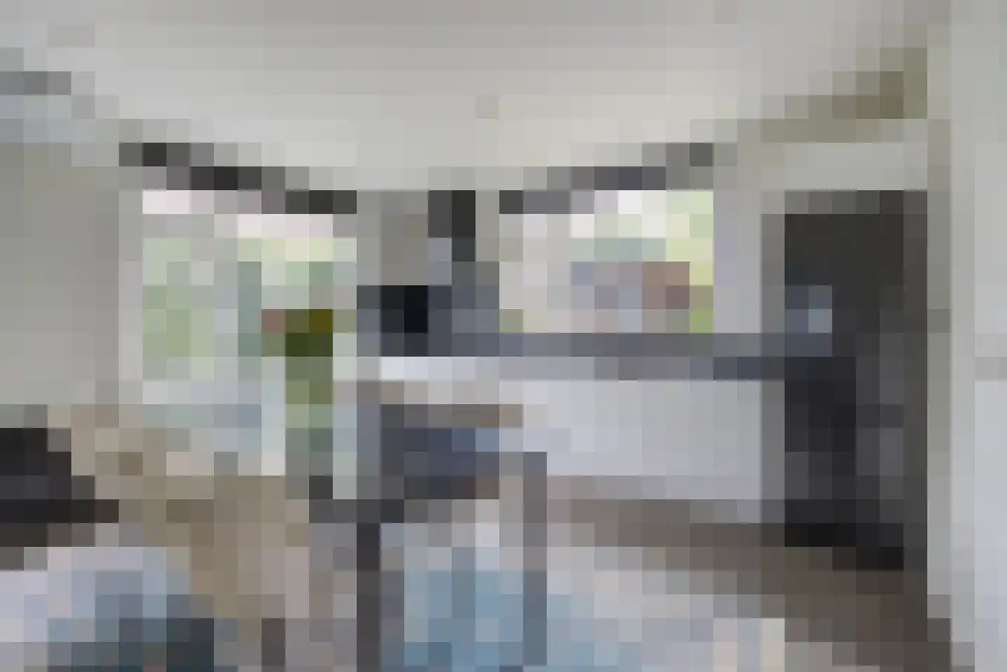 Vijverstraat 63 St. Willebrord thumbnail 10