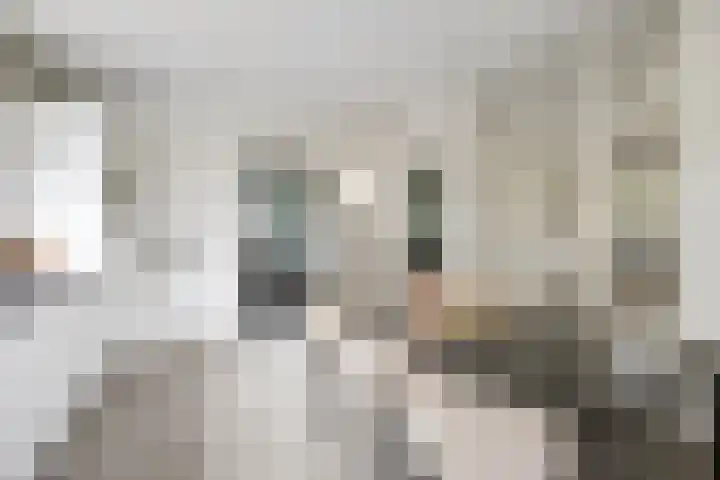 Vijverstraat 63 St. Willebrord thumbnail 15