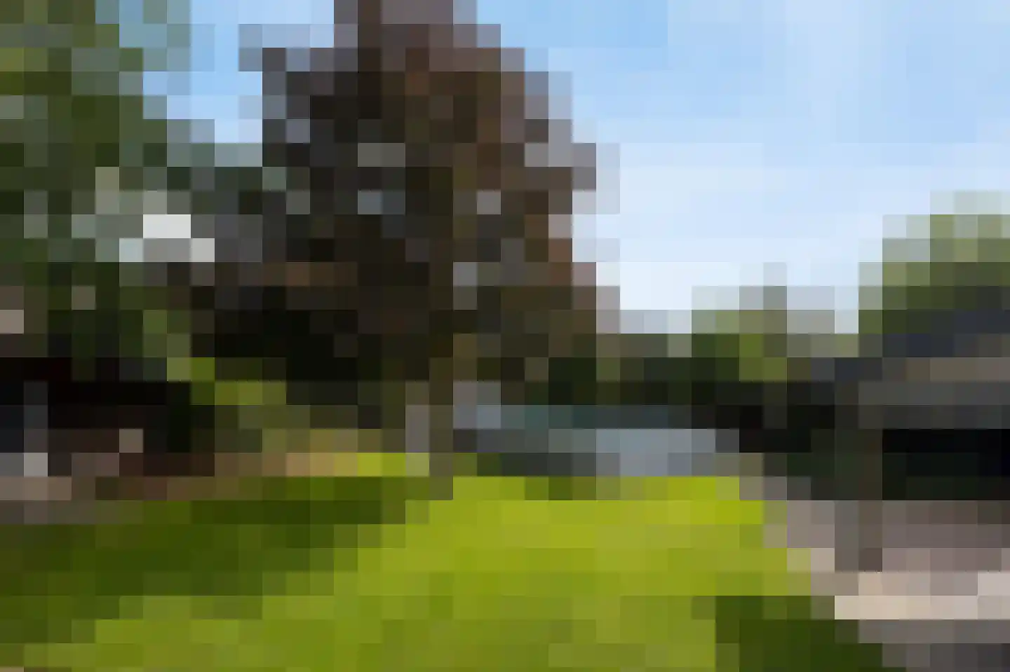 Vijverstraat 63 St. Willebrord thumbnail 31