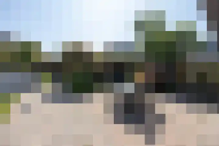 Vijverstraat 63 St. Willebrord thumbnail 31