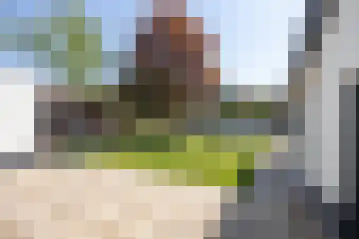 Vijverstraat 63 St. Willebrord thumbnail 32