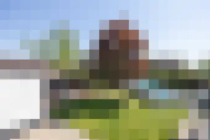 Vijverstraat 63 St. Willebrord thumbnail 33