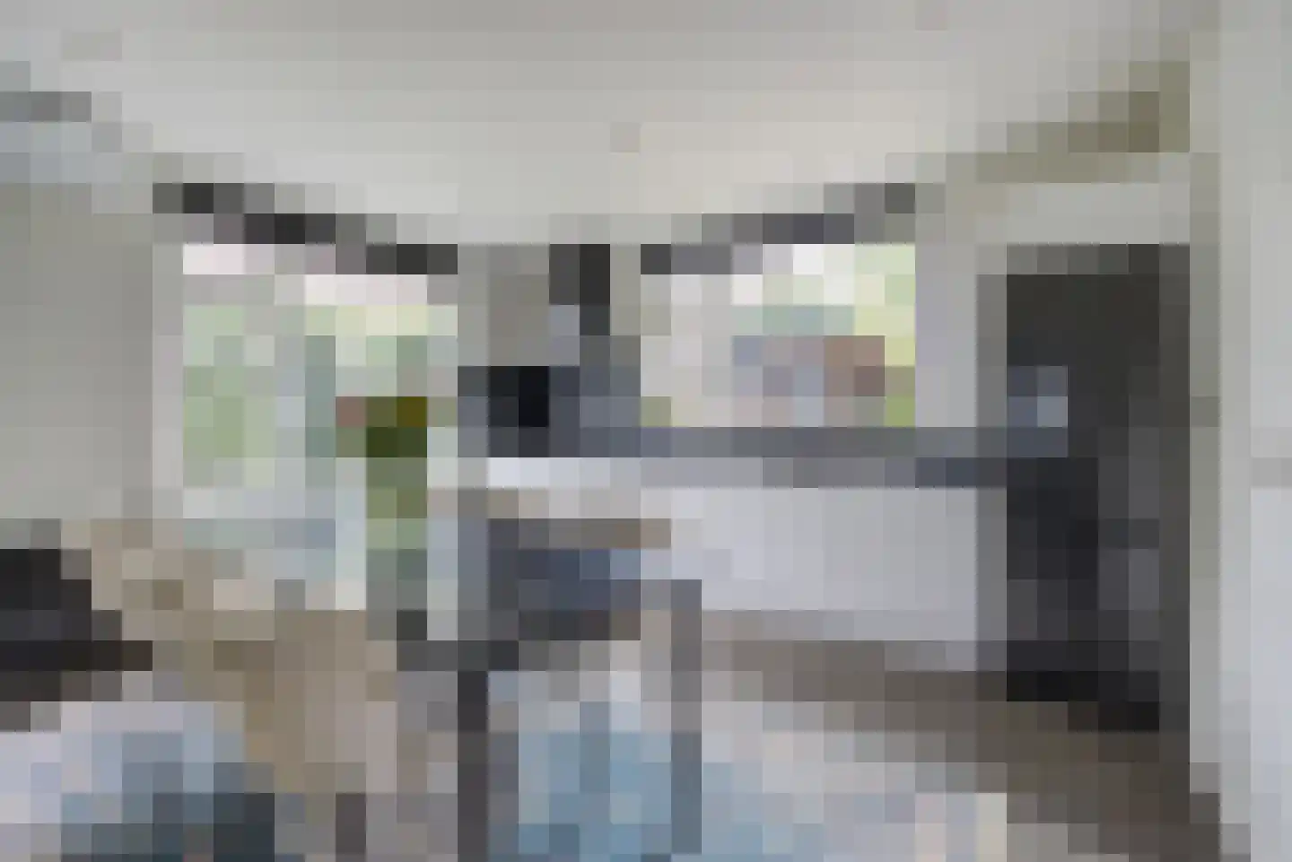 Vijverstraat 63 St. Willebrord thumbnail 4